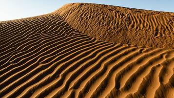 Paisaje desértico con dunas de arena ondulantes y cielo despejado.