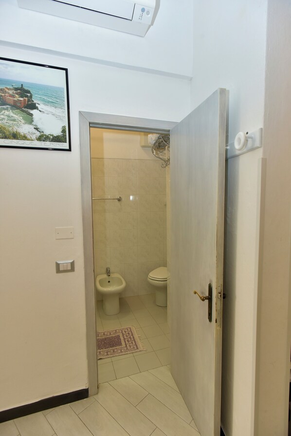 Un baño con bidé, inodoro y zona de ducha.