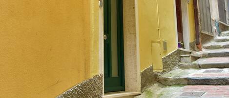 A narrow street with yellow buildings, a green door, and a brick pathway.