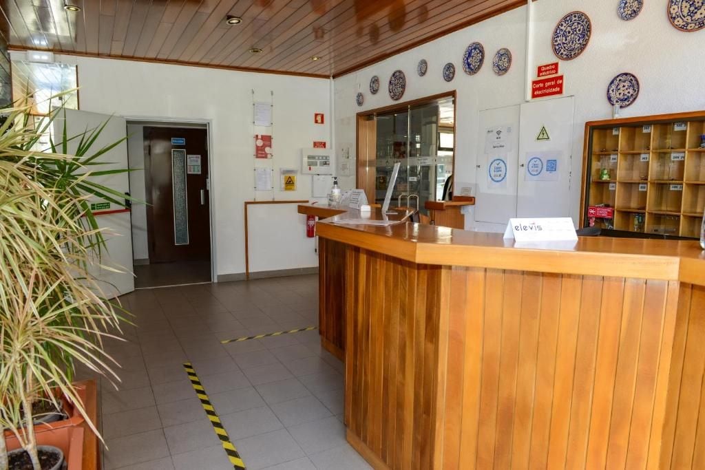 A reception area with a wooden counter, a potted plant, and a wall with decorative plates.