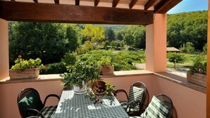 Une terrasse couverte avec une table et des chaises, entourée de plantes en pot et offrant une vue sur un paysage luxuriant.