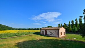 Exterior - Apartment SUNFLOWER (Agriturismo Il Corniolo) (CORCIANO)