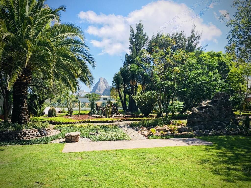 Un jardí paisatjistic amb palmeres, un camí de pedra i una vista d'una muntanya.