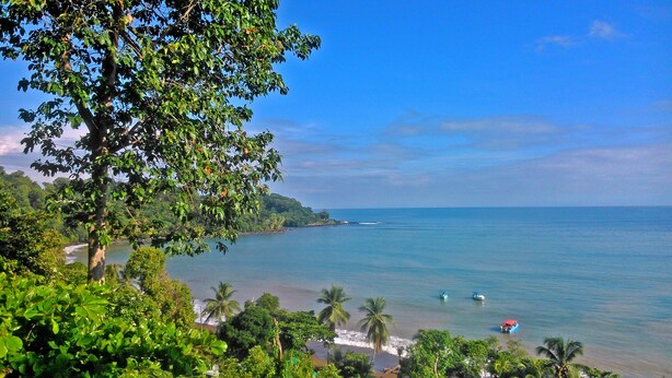 A coastal landscape with a beach, palm trees, and boats. - Hostel Cascada Verde (Bahía Ballena)