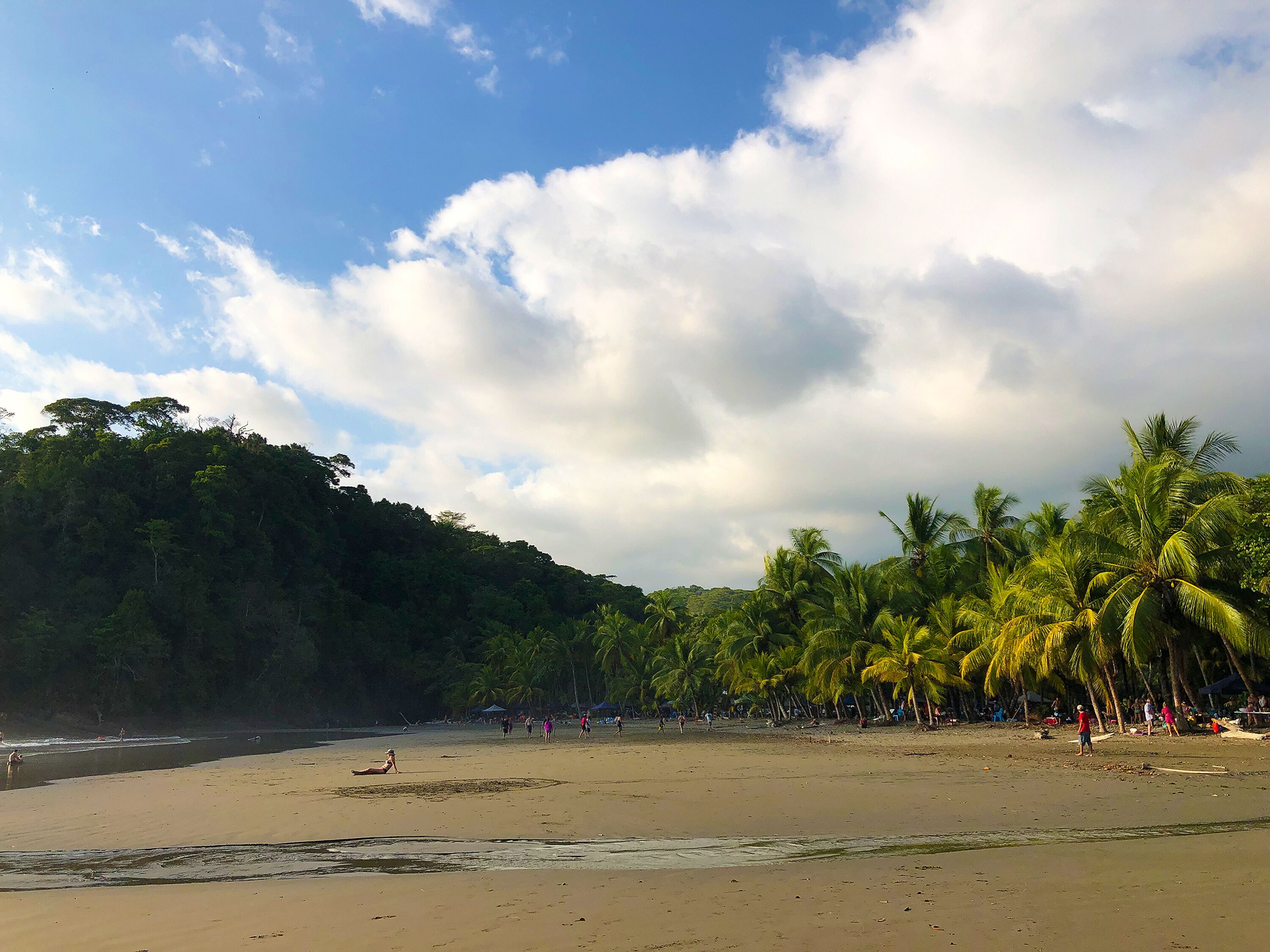 A beach with palm trees and a hilly background.