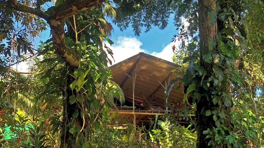 Hostel Cascada Verde