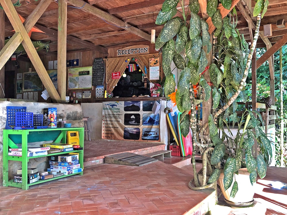 Cascada Verde by null