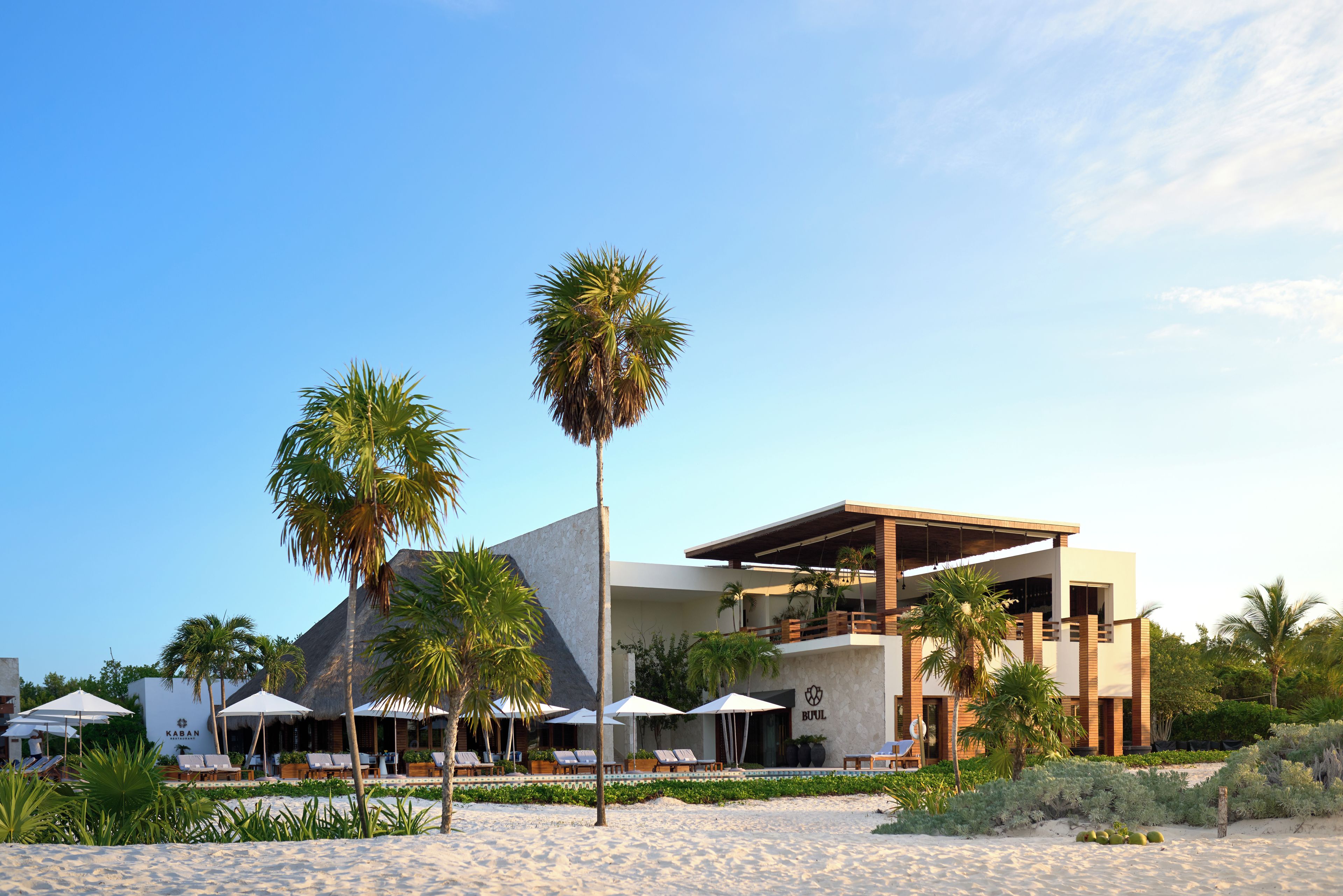 A modern resort with a pool area, sun loungers, and palm trees.