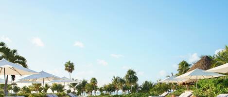 A poolside area with lounge chairs and umbrellas, surrounded by palm trees and a clear sky.