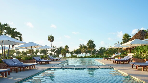 Un área de piscina con sillones reclinables y sombrillas, rodeada de palmeras.