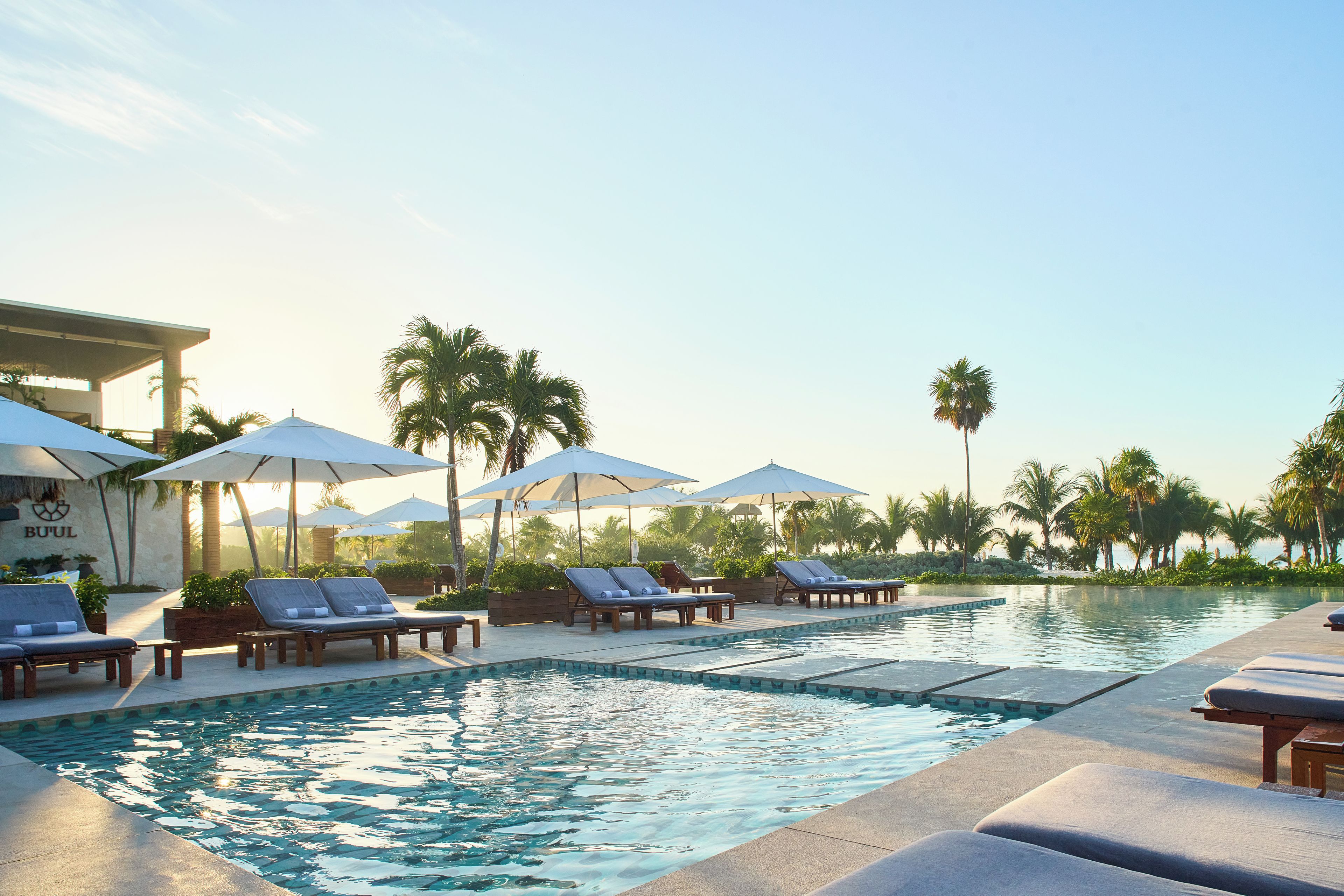 A pool area with lounge chairs and umbrellas, surrounded by palm trees.