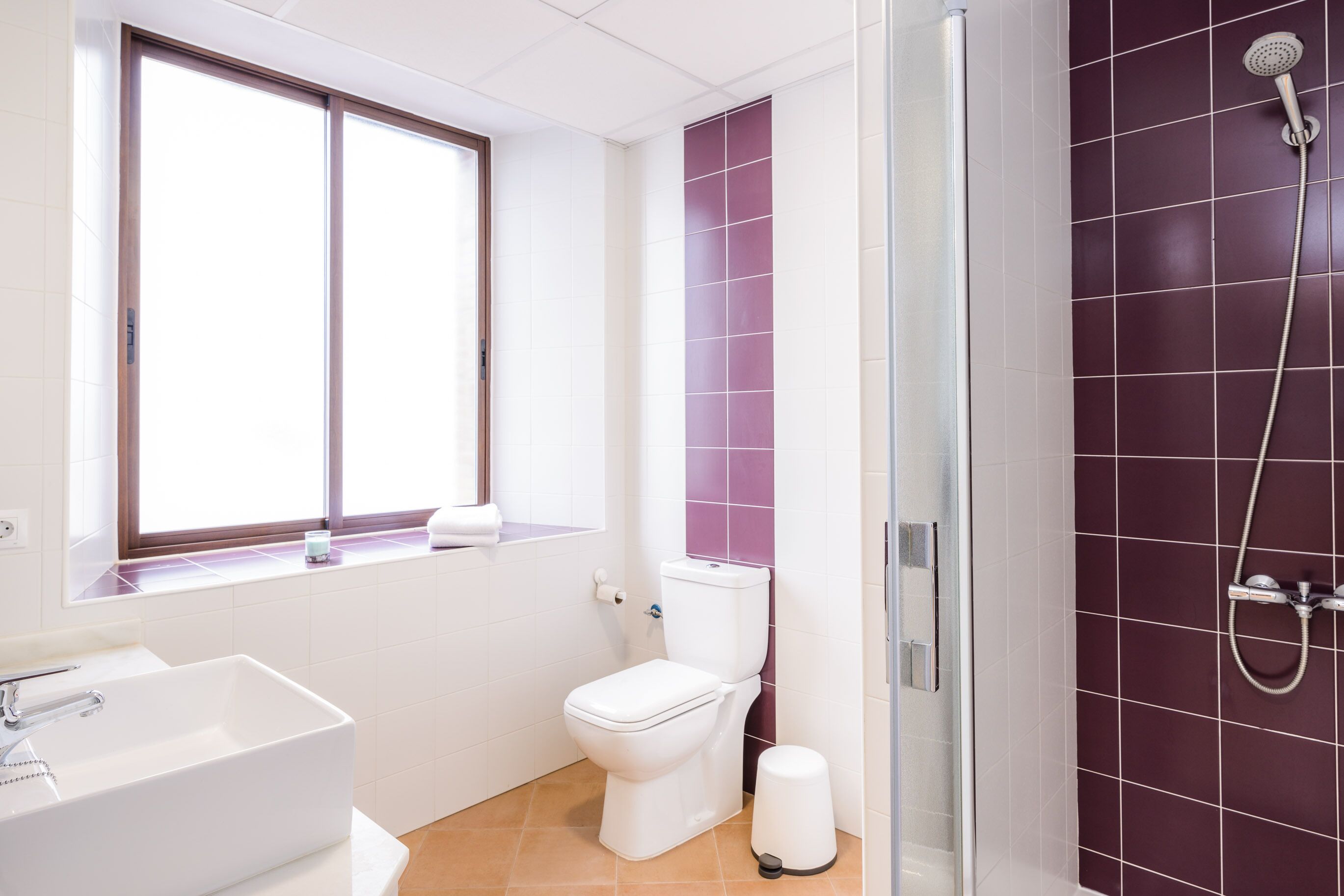 Un baño con inodoro, lavamanos y ducha.