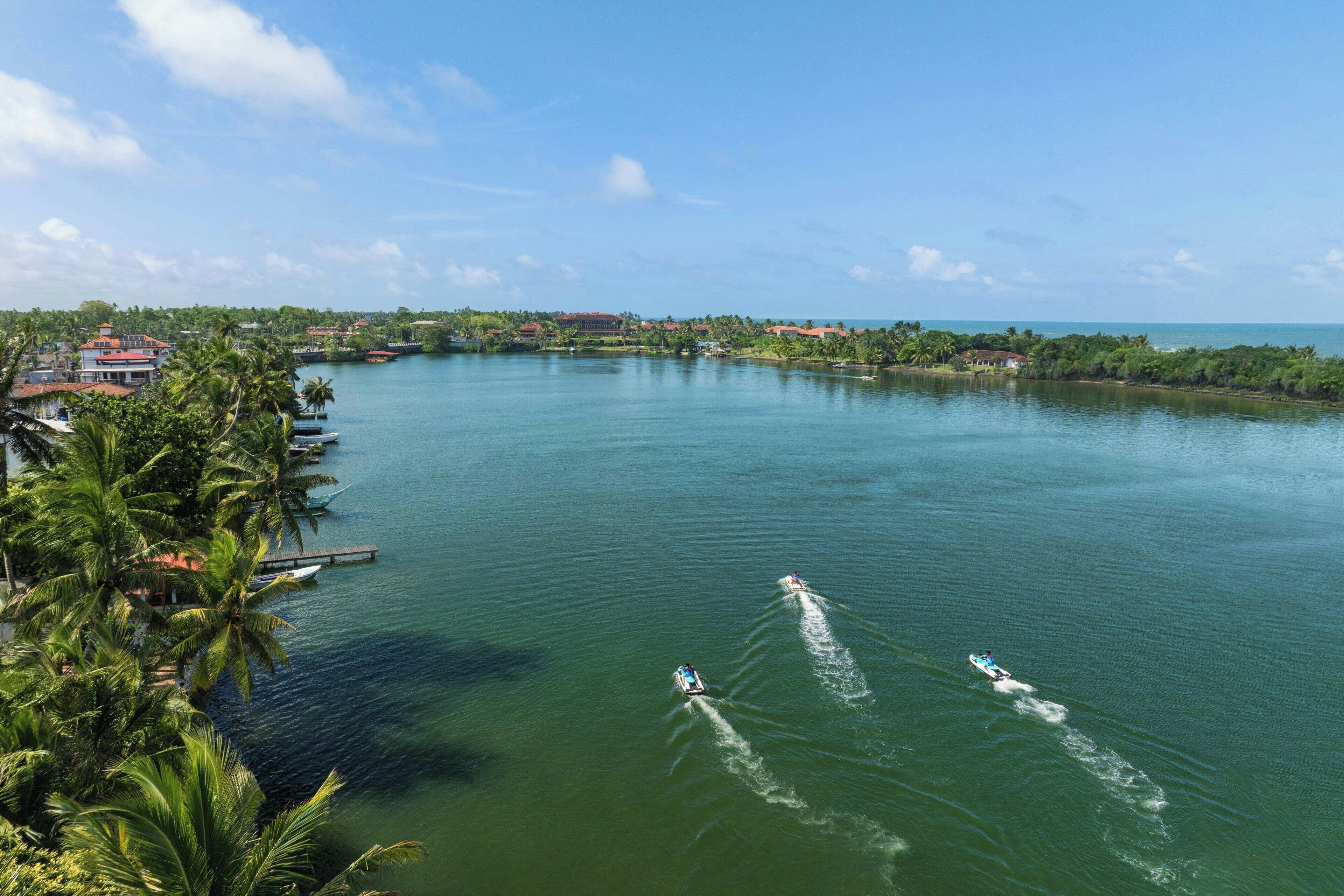 A tropical waterfront area with boats, palm trees, and a clear sky.