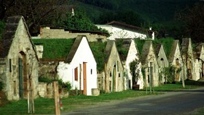 A row of white, pointed-roofed buildings with a central white building featuring a brown door, set against a backdrop of greenery and a hillside.
