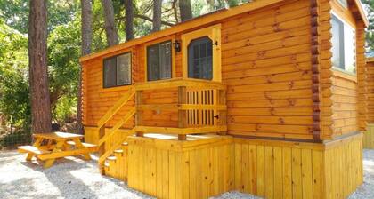 Log Cabin - Williamsburg Pet-Friendly Log Cabin – Heated Pool, Free Game Room