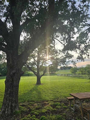 Property grounds - Texas Ranch House on 10 acres near Lake Ray Roberts! (Pilot Point)