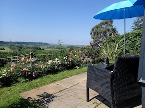 Terrace/patio - Rose Lodge, Eco Lodge with Hot Tub (Langport)