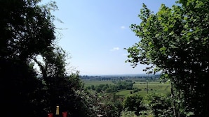 A hot tub with a bottle and glasses, surrounded by trees and a view of a green landscape. - Rose Lodge, Eco Lodge with Hot Tub (Langport)