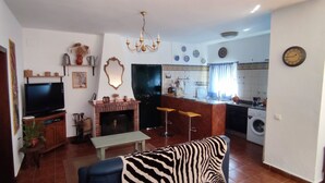 A living room with a TV, a fireplace, a sofa, and a kitchen area with a washing machine. - RURAL HOUSE TO ENJOY NATURE (Medina-Sidonia)