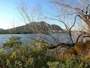 A natural landscape with a body of water, trees, and hills in the background.