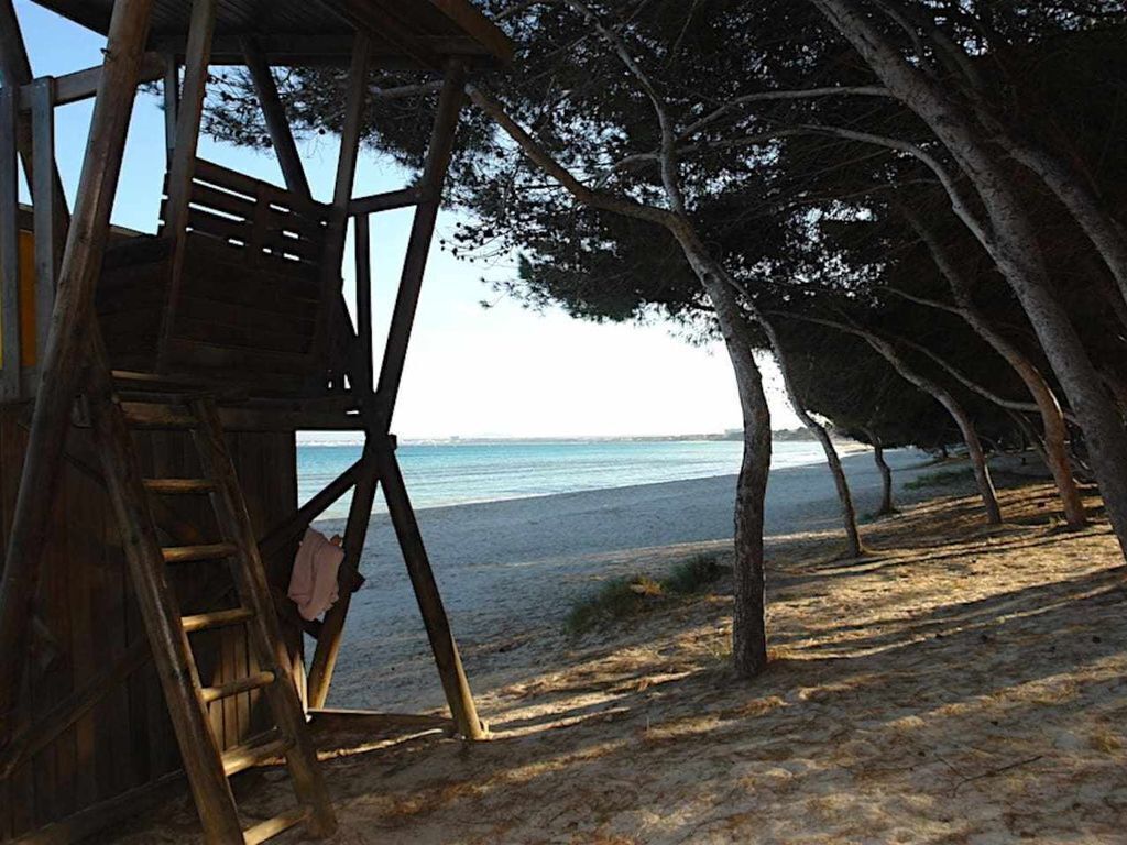 Una casetta sulla spiaggia in legno con una scala, circondata da alberi, con vista su una spiaggia sabbiosa e l'oceano.