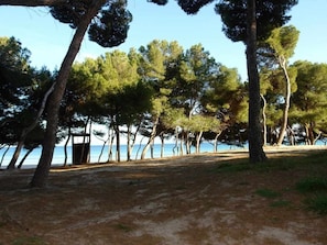 A beach with trees and a clear sky.