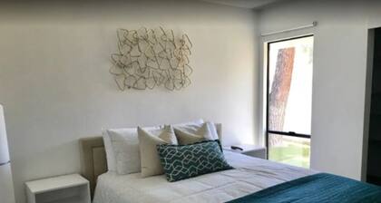 Suunnittelijan uusinta w / vihreäksi | pool