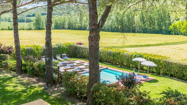 A pool area with lounge chairs and umbrellas, surrounded by trees and a grassy field. - Lovely apartment in villa for 4 people with WIFI, pool, TV, patio, pets allowed and panoramic view (Montespertoli)