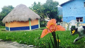 Jardín