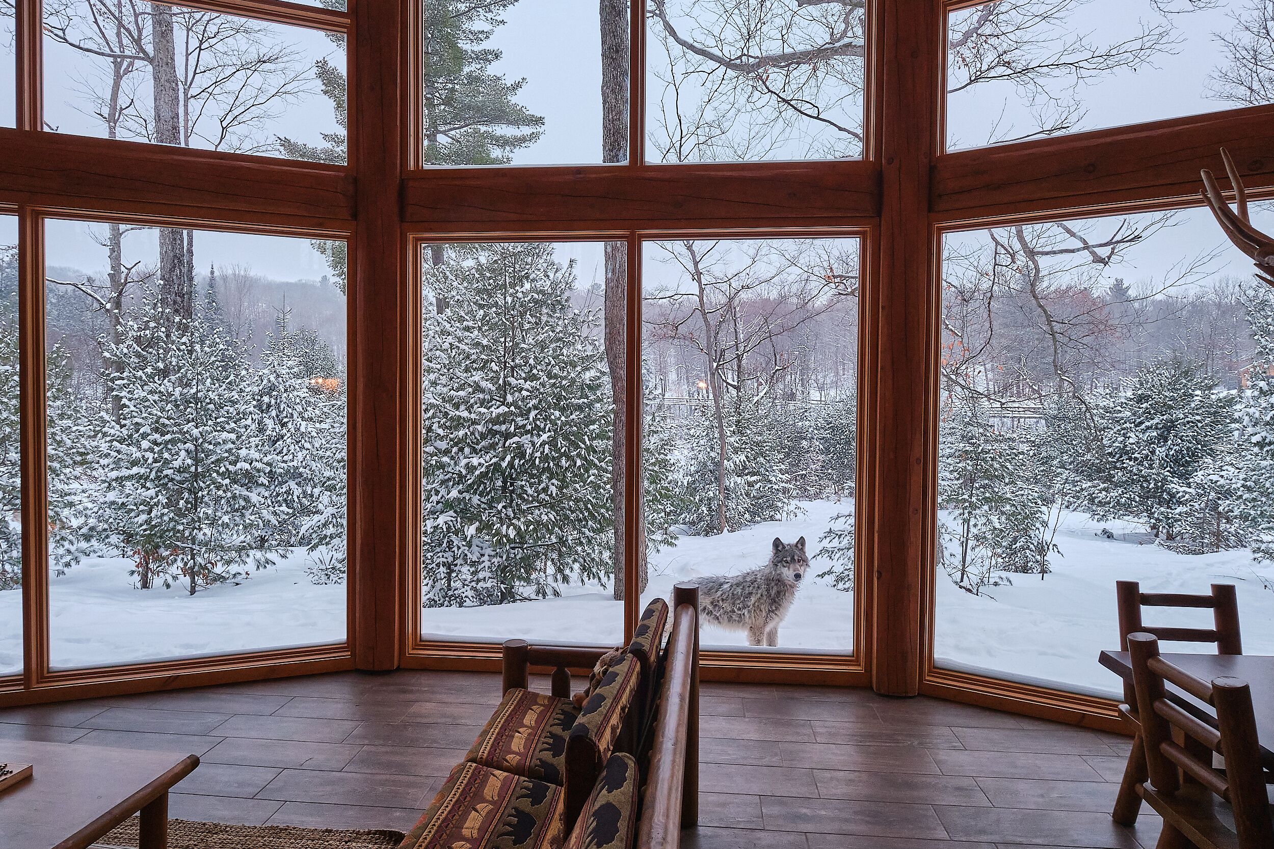 Lodge des Loups (Grand)
