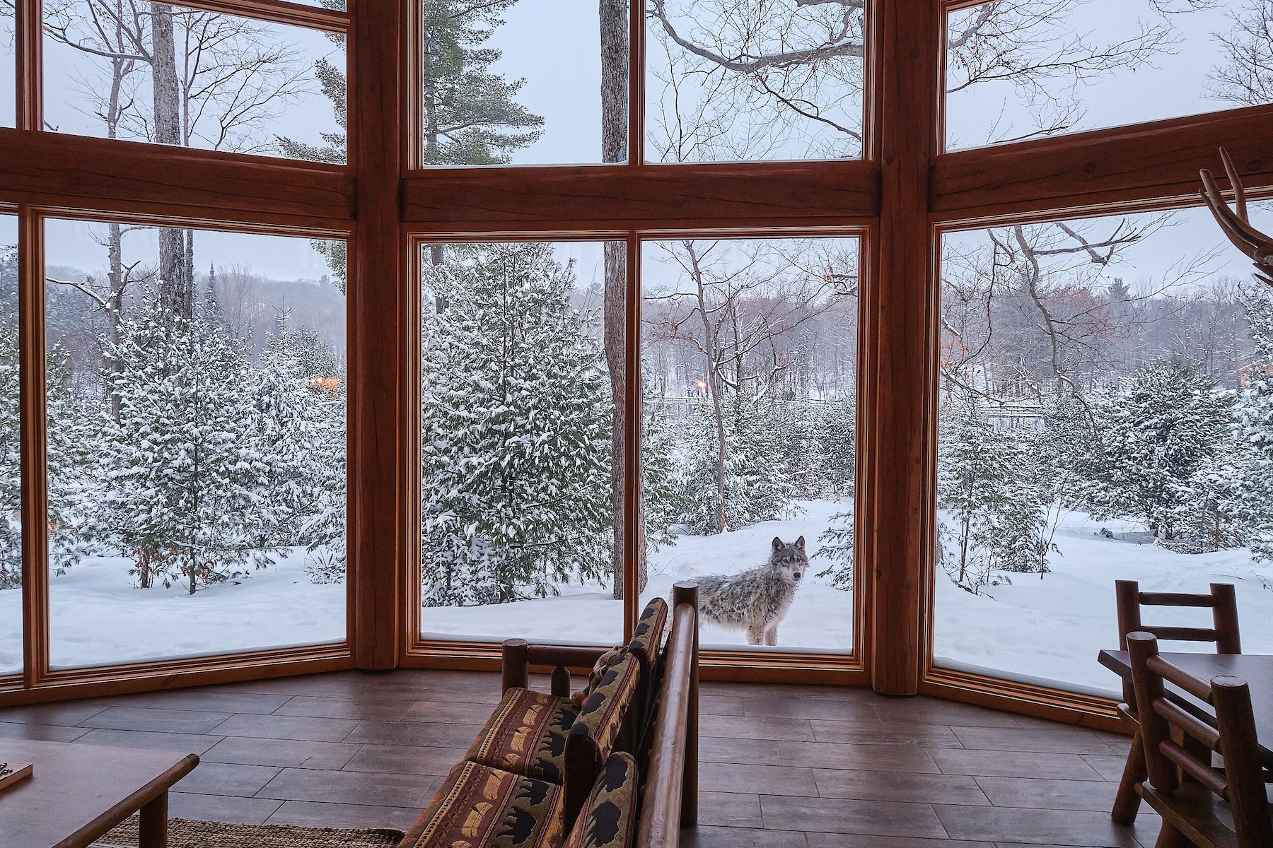 Lodge des Loups (Grand) | Literie fournie