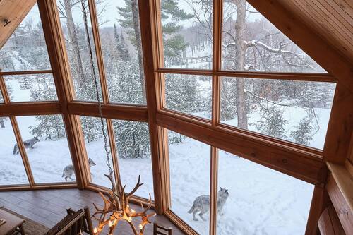 Lodge des Loups (Grand) | Vistas desde la habitación