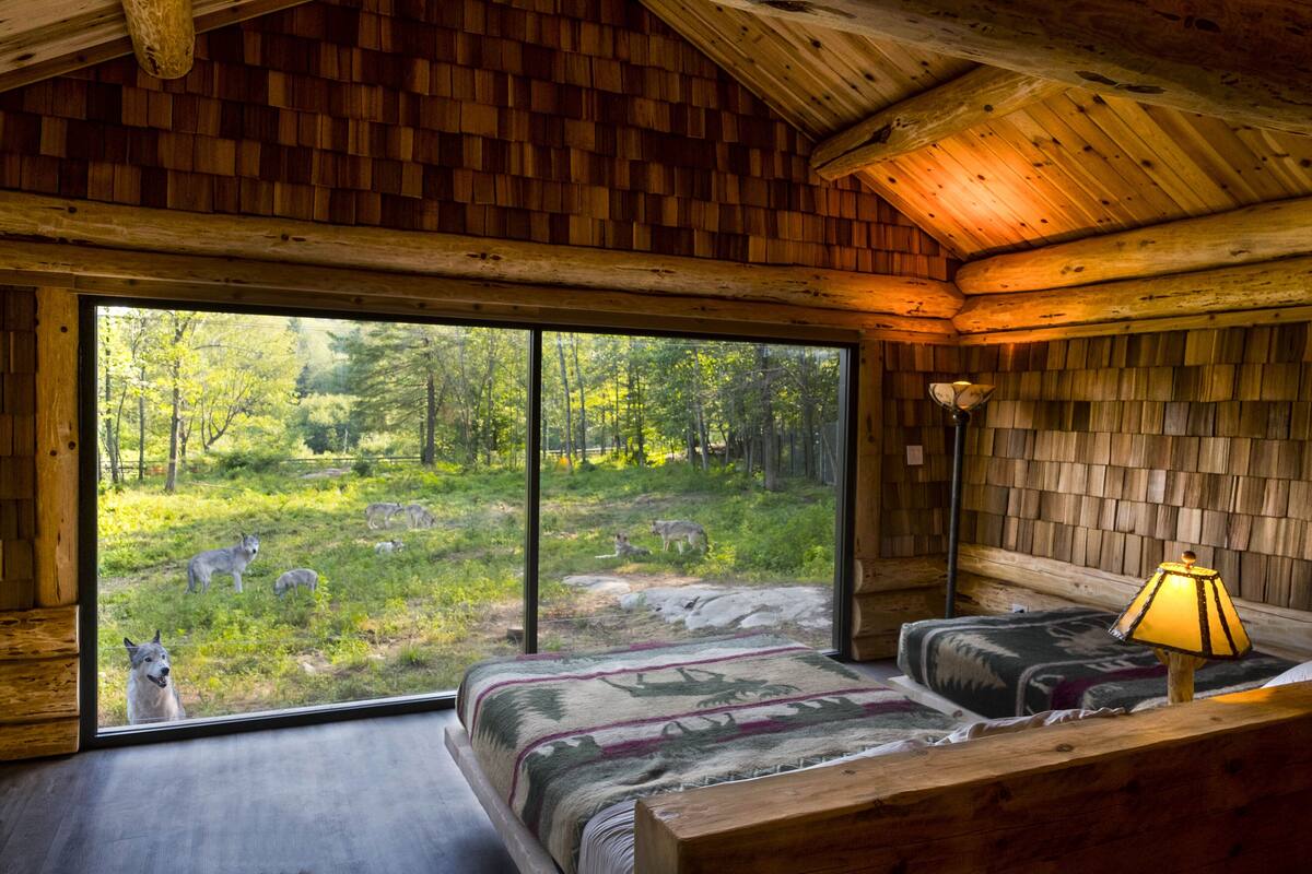 Interior de una cabaña de madera con un ventanal grande, una cama y una lámpara.