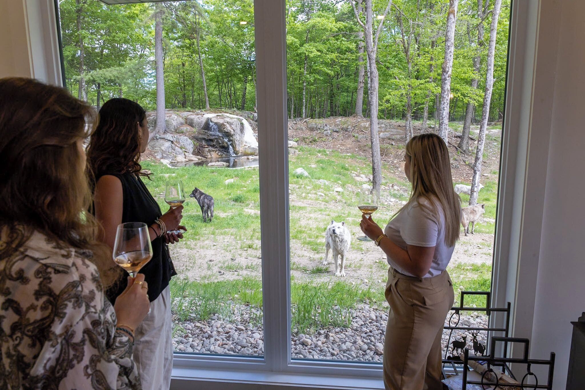 A group of people inside a room with large windows overlooking a natural outdoor area with trees and a small waterfall.