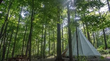 A forest with a tent and a picnic table.