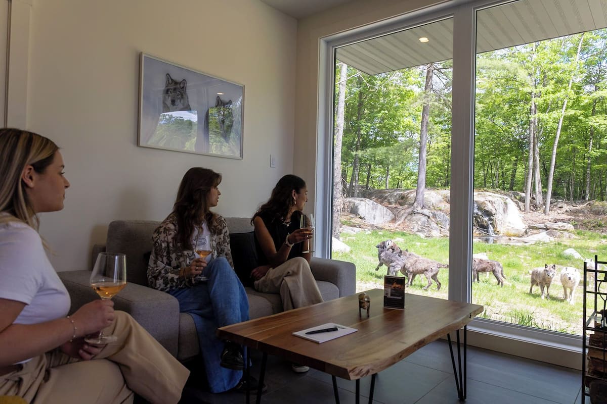 Tres personas sentadas en un sofá, una mesa con un libro y un vaso, y un ventanal con vistas a animales en un entorno natural.