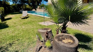 A well-maintained lawn with a palm tree, a wooden stump, and a bench in the background. - Havana - house with pool in Playa de Alcudia (Alcúdia)