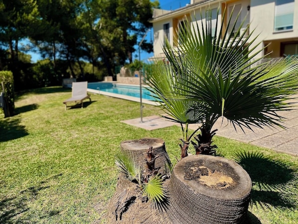A well-maintained lawn with a palm tree, a wooden stump, and a bench in the background.