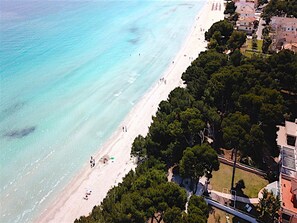 Nära stranden