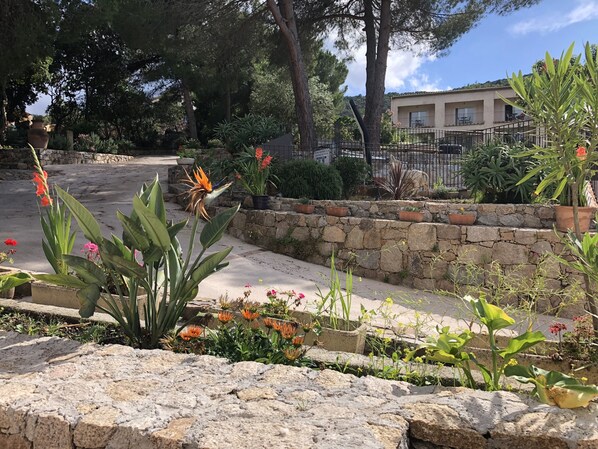 A landscaped garden with stone walls, various plants, and a building in the background.