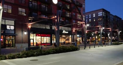 Modern home in Orenco