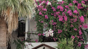 Jardín