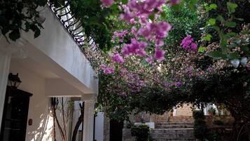 Jardin