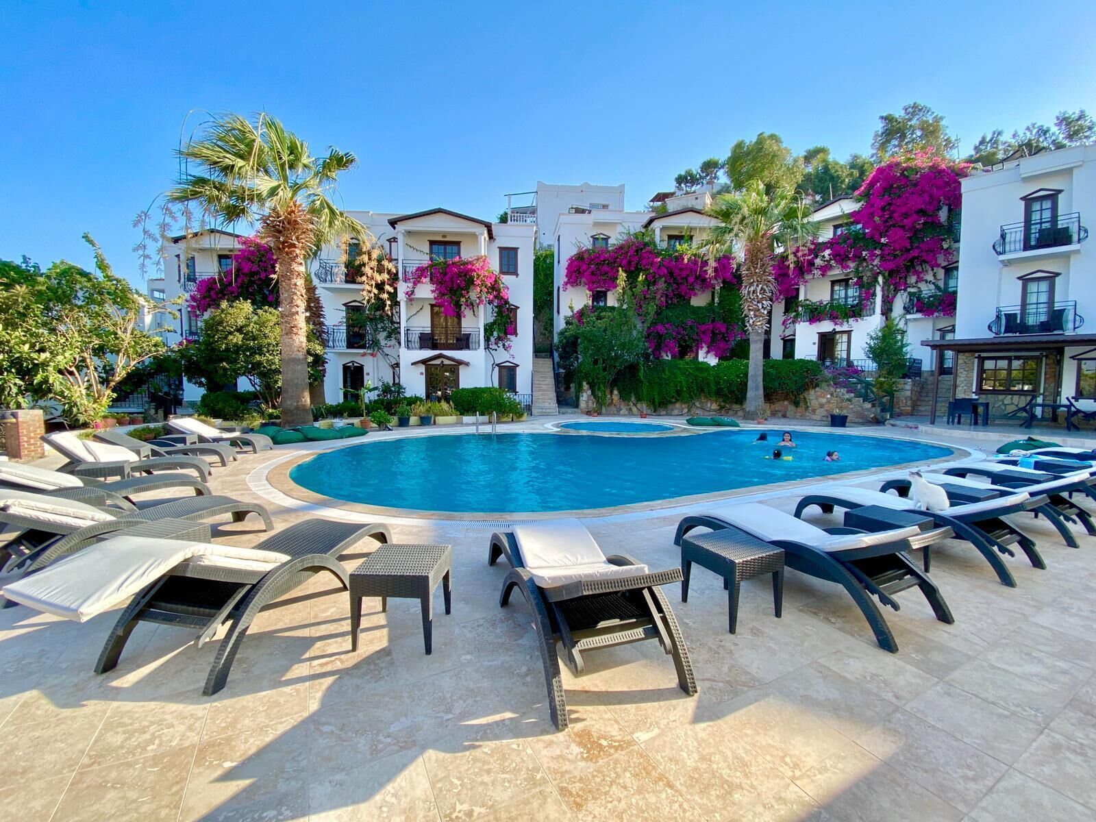Piscine extérieure, parasols de plage, chaises longues