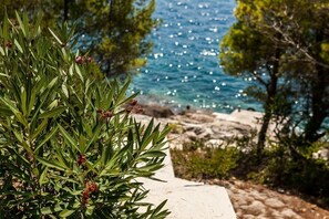 Enjoy breathtaking views of the sea from a serene coastal setting surrounded by lush olive trees and a well-maintained pathway.