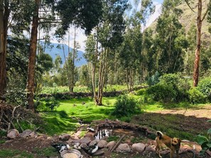 Jardines del alojamiento