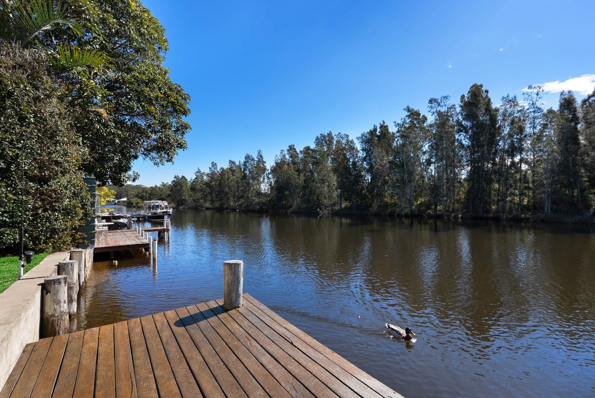 A wooden dock extending into a calm lake, surrounded by dense trees and clear skies.