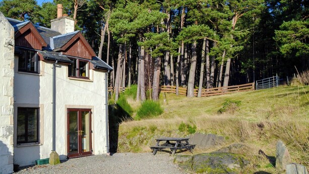 Edificio de piedra rústica con porche de madera, rodeado de un área boscosa y una mesa de picnic.