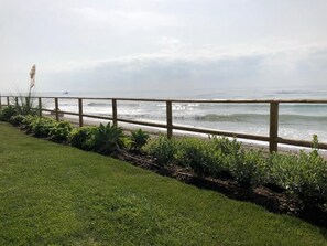 A coastal walkway with a wooden railing, green grass, and various plants.