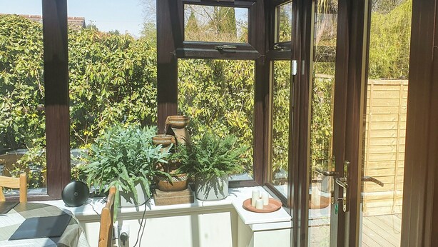Un invernadero con puerta de cristal, vigas de madera y plantas en macetas.